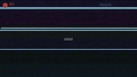 周末随拍记录 - 随机人质 原创视频